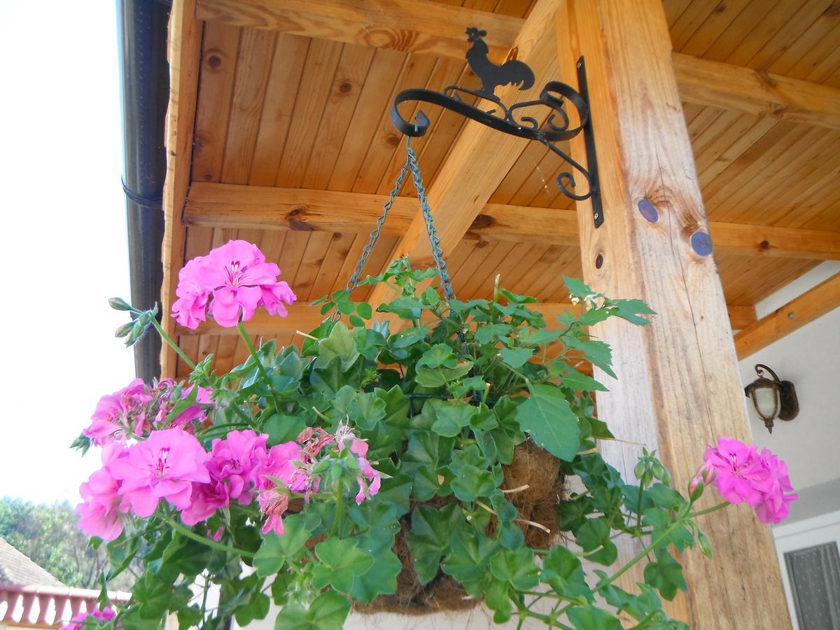 Villa Ani Gorna Kovachitsa Exterior photo